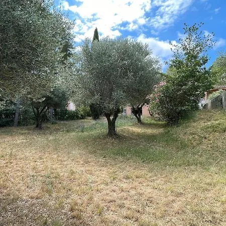 Oliveta Vila *